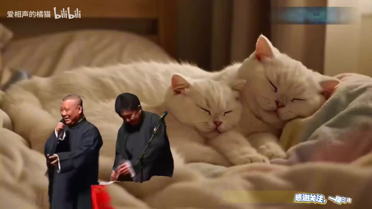 谦哥出轨讹来五百块1