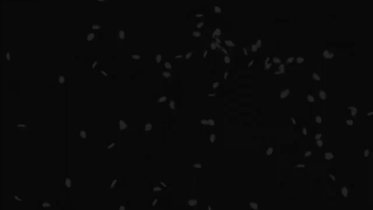 第13夜 深红的枷锁