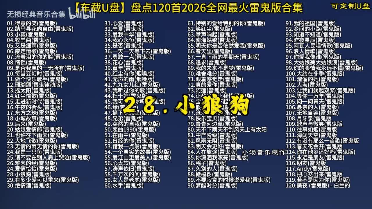 100首抖音热门 (28)
