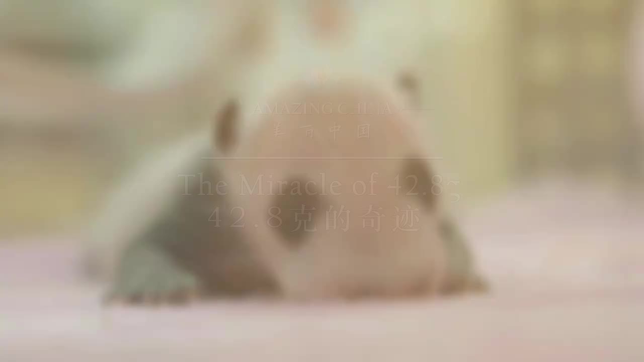 063-The Miracle of 42.8g 42.8克的奇迹