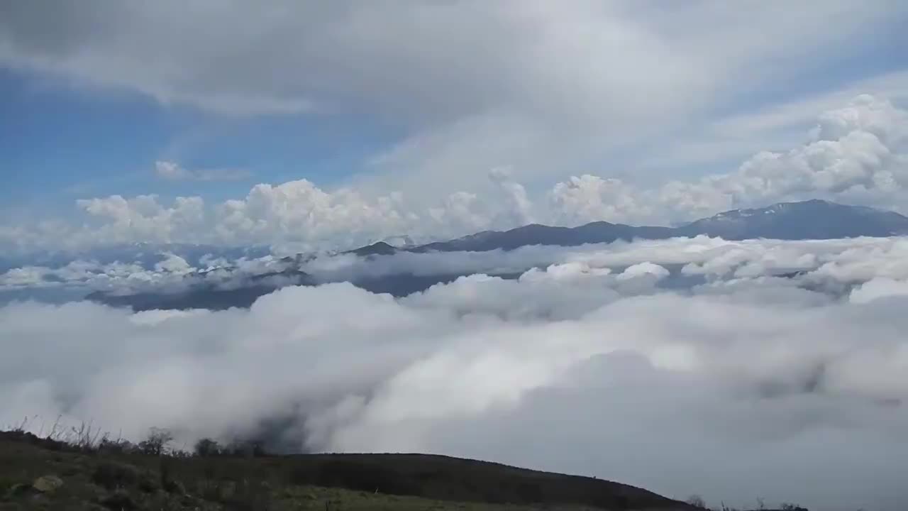 061-Wild Home for Giant Pandas 大熊猫的野外家园