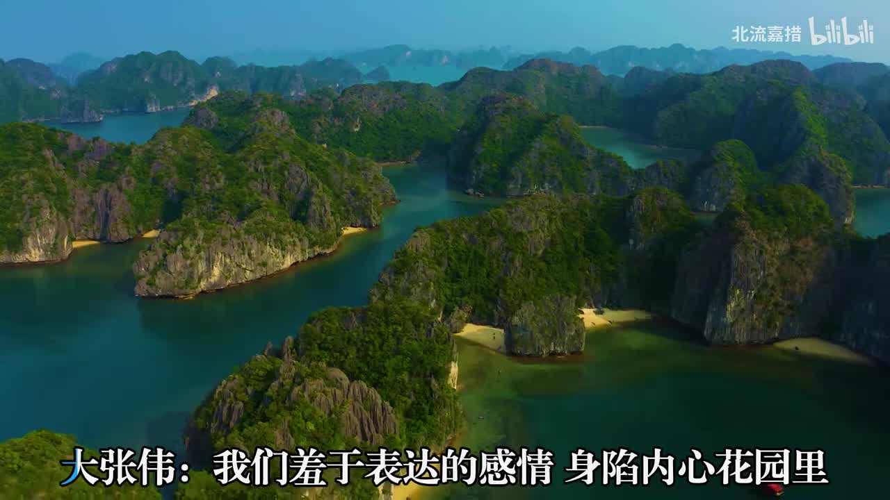 48.我们羞于表达的感情 - 新裤子、大张伟
