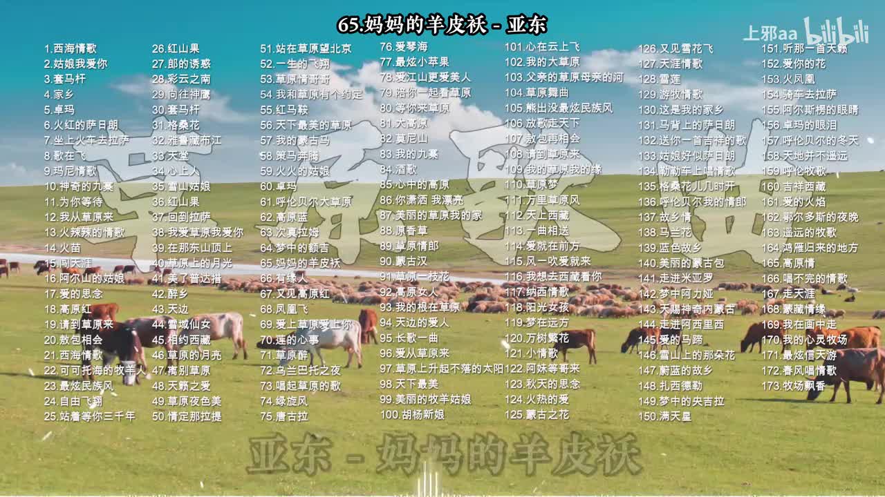 065. 妈妈的羊皮袄 - 亚东