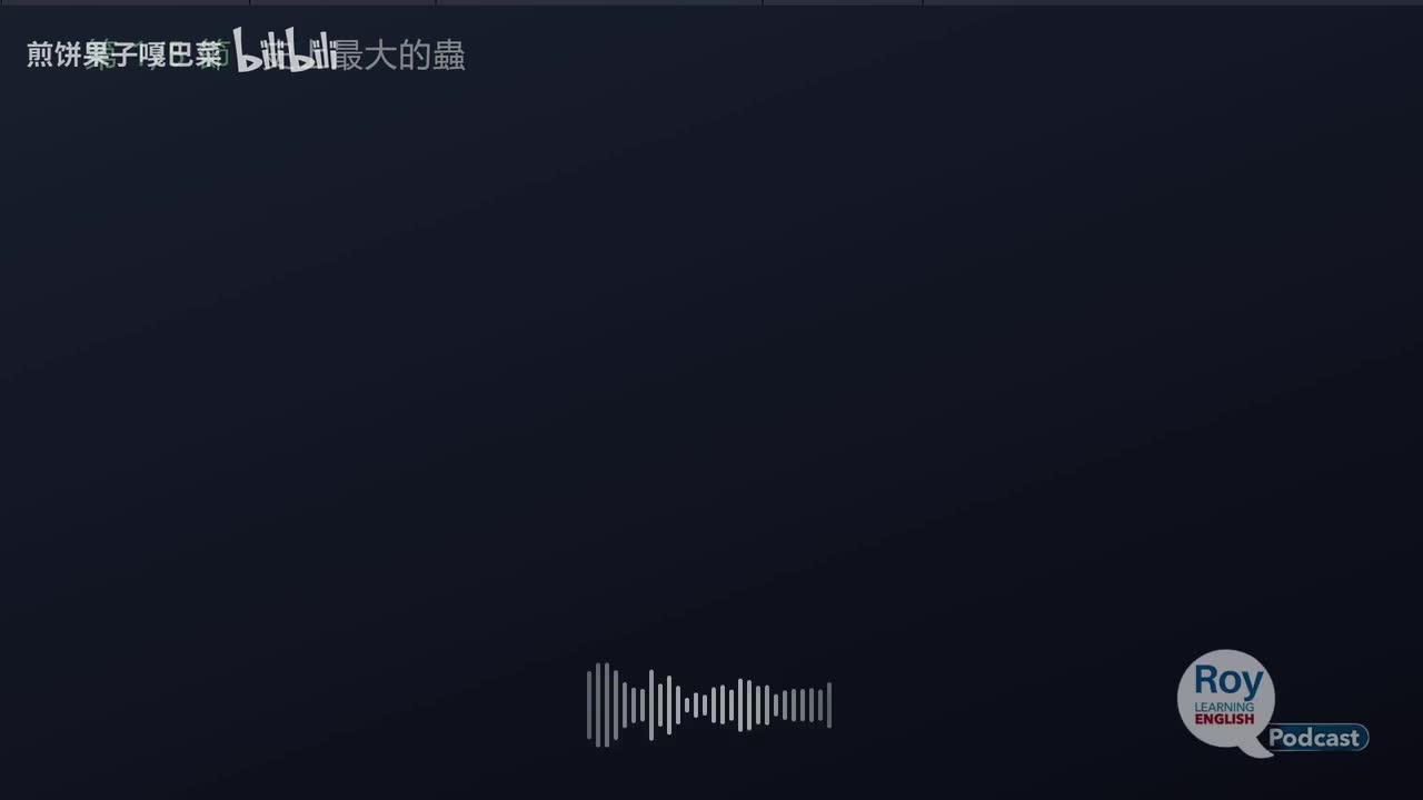 077.史上最大的虫・巴西远古爬虫・星舰接住助推器・whose 与 who's