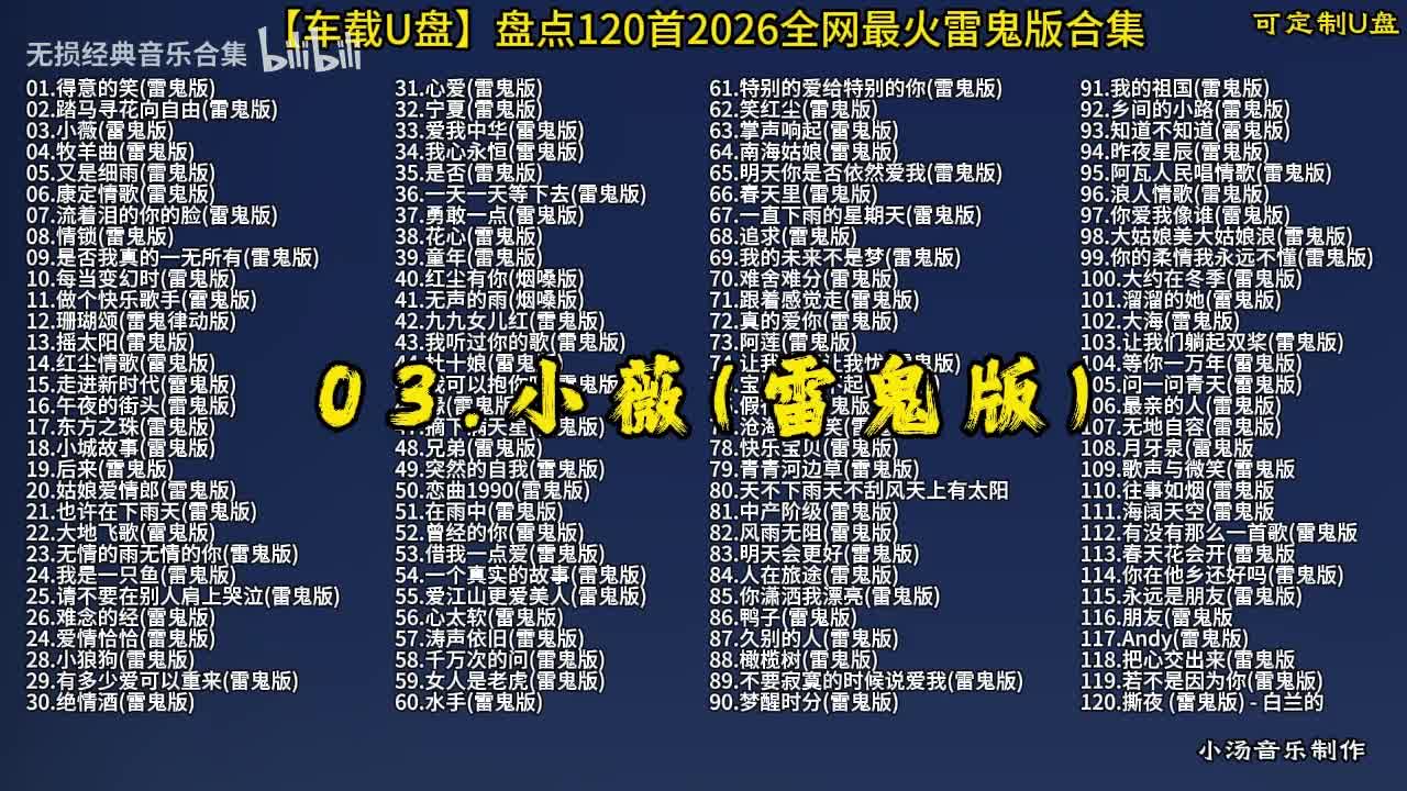 100首抖音热门 (4)