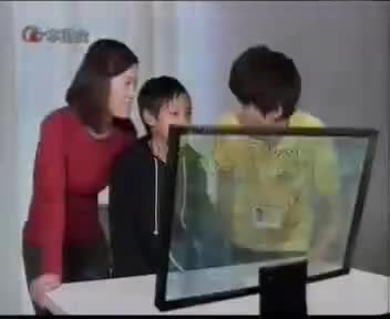 tvcimage.meihua.infompeg20100228113117_DACF.mp4