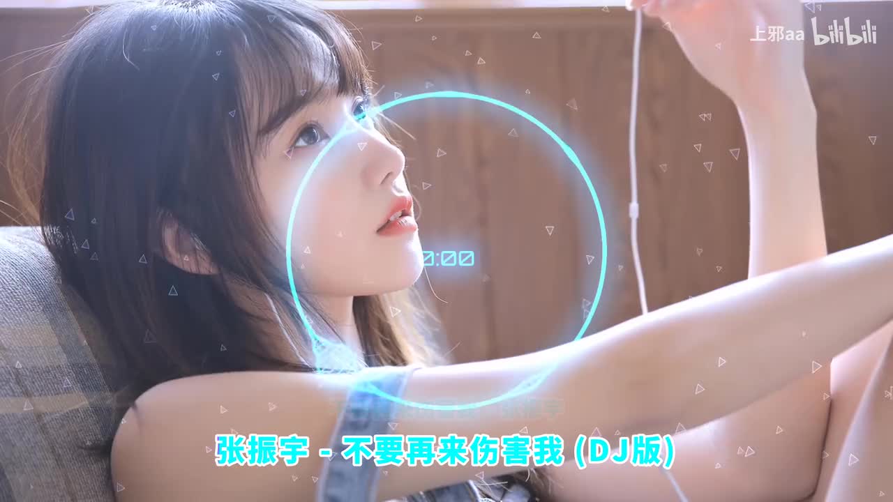 020. 不要再来伤害我 (DJ版) - 张振宇