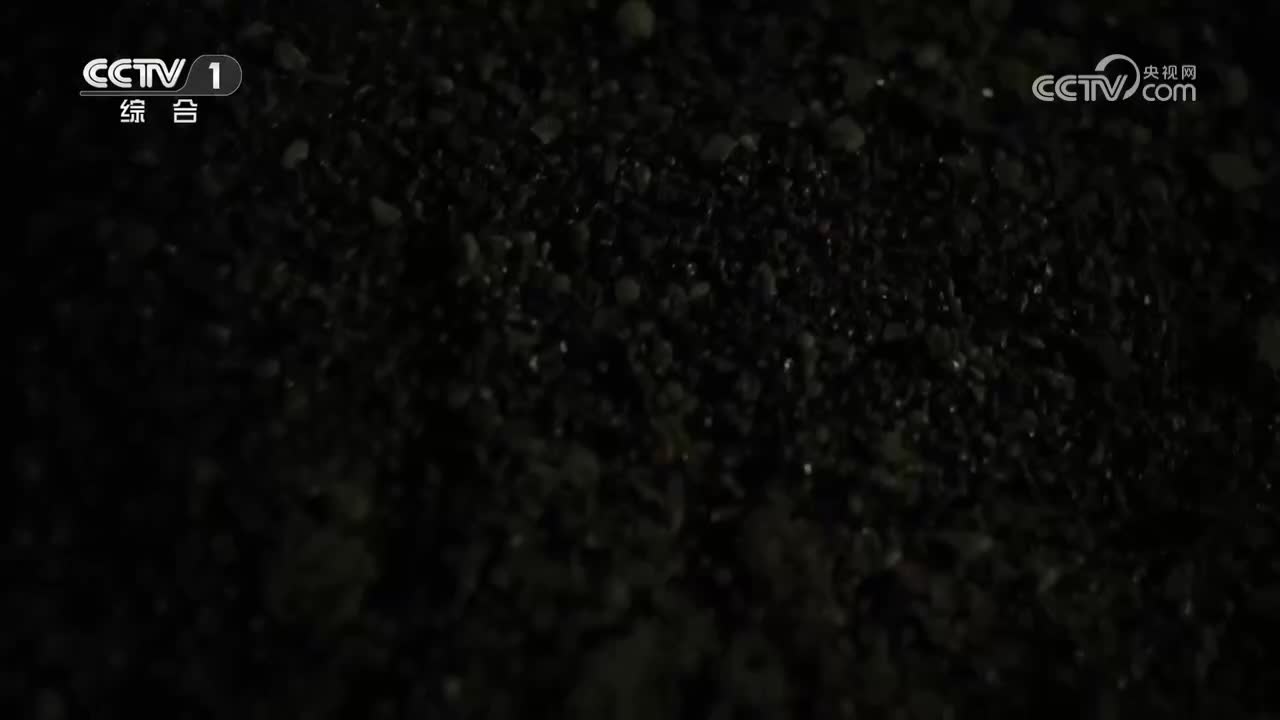 第3集 当红星照耀中国