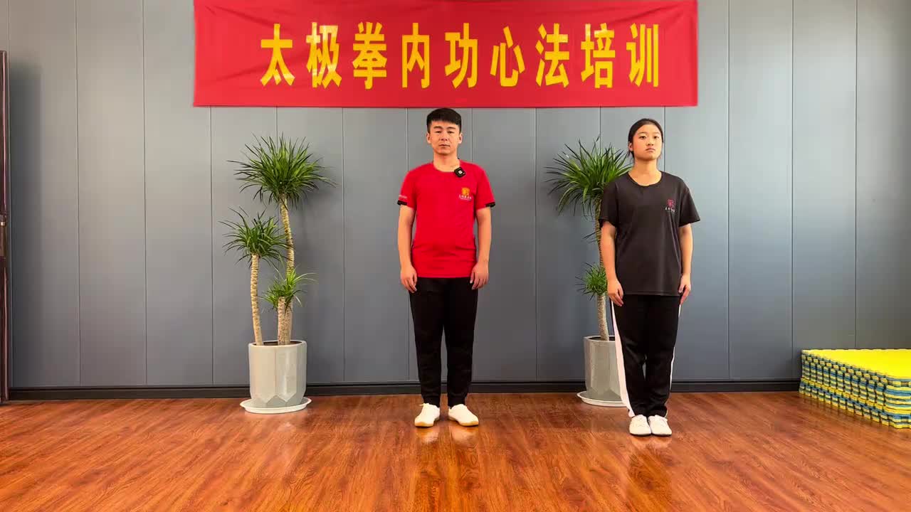 第44节太极步—左后方铲步