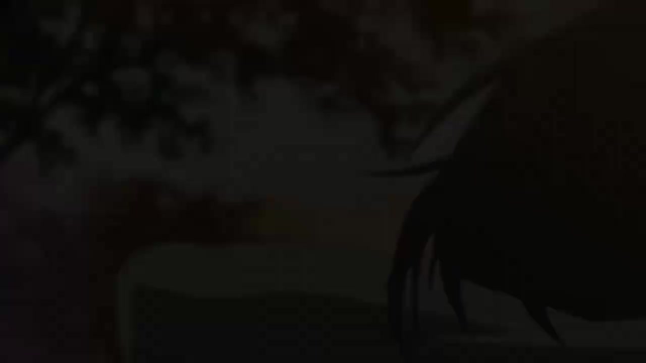 第6夜 他们的抉择