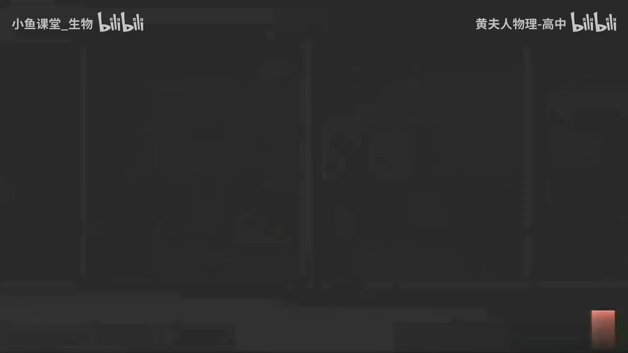 31-48 探究自由落体运动的规律