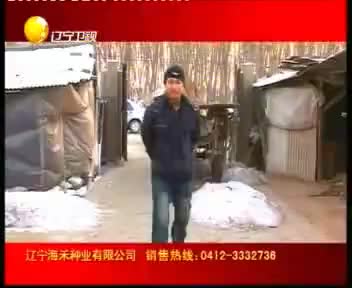 tvcimage.meihua.infompeg20100222112485_12A4.mp4