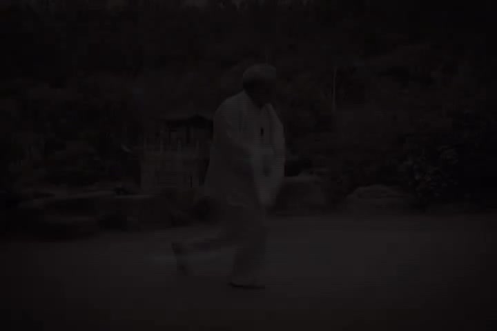 杨式太极拳85式教学6