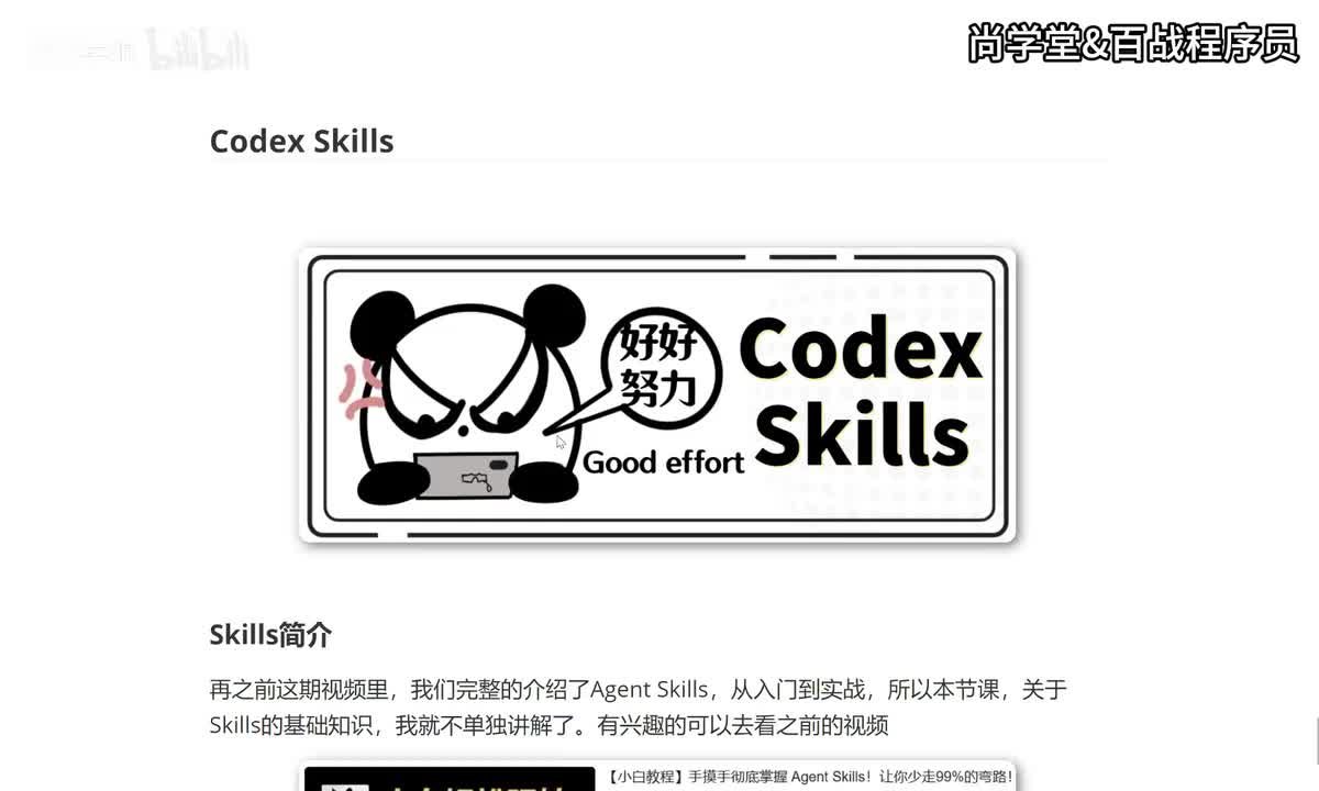 10_Codex Skills