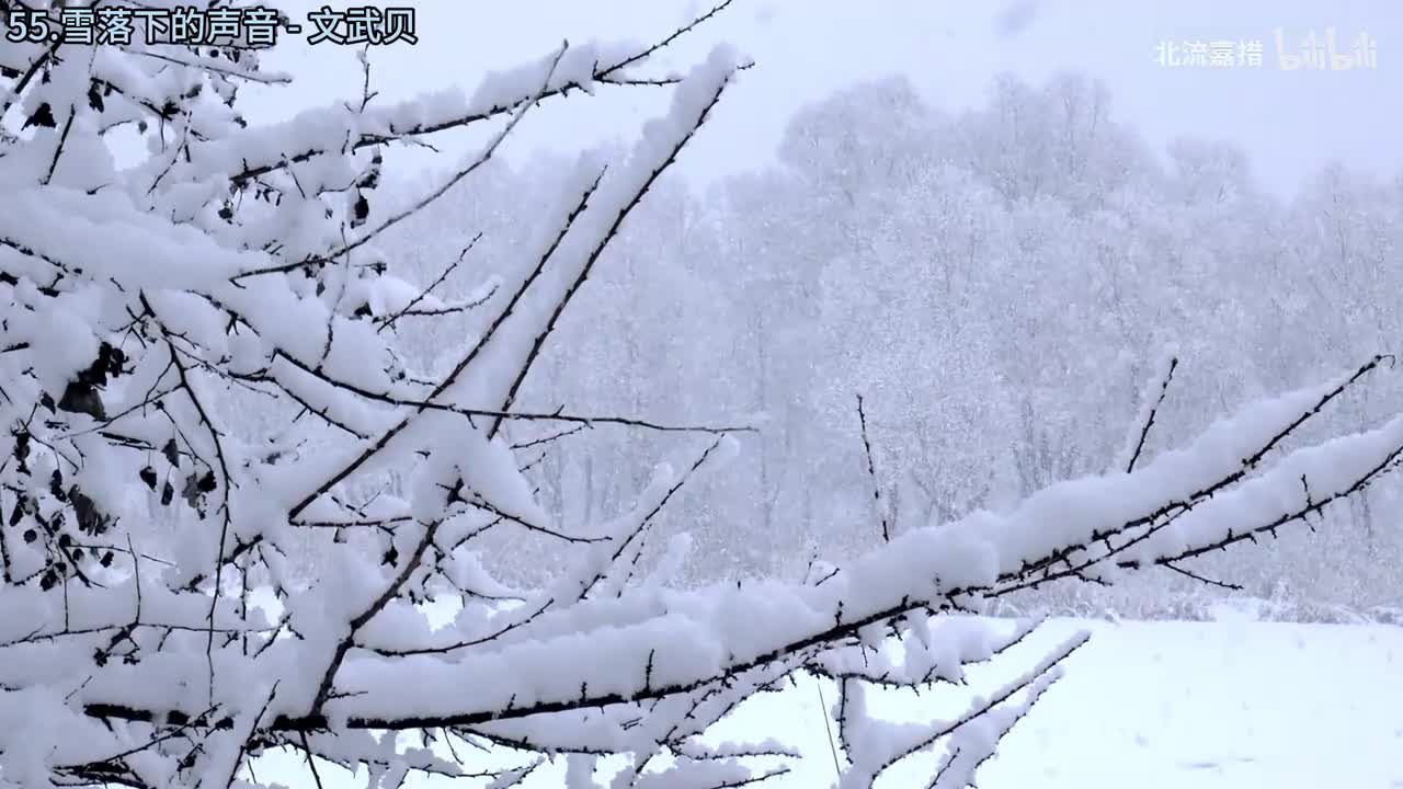 55.雪落下的声音 - 文武贝