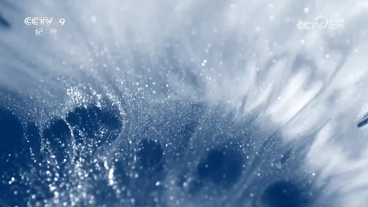 《古中国的颜色_青》_第5集_2026-01-30_23_39_10