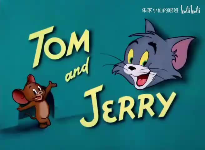 精彩的小夜曲