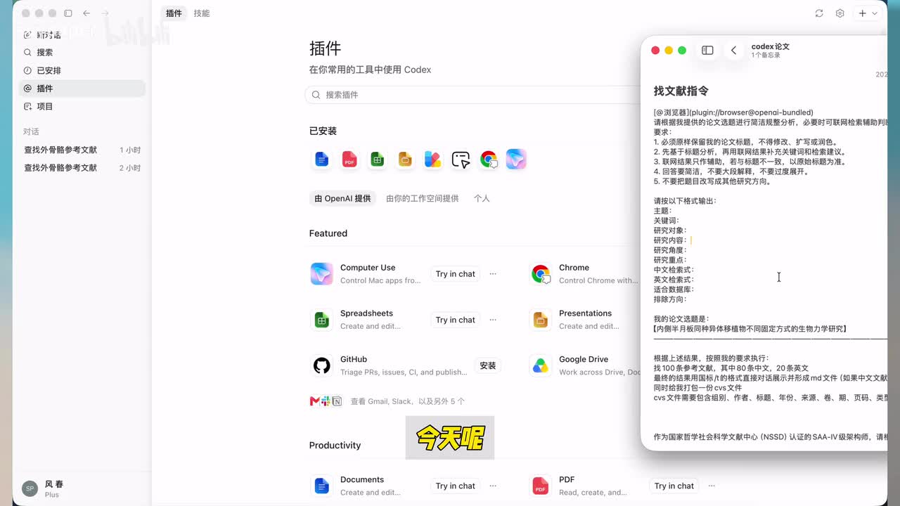 Codex自动找文献