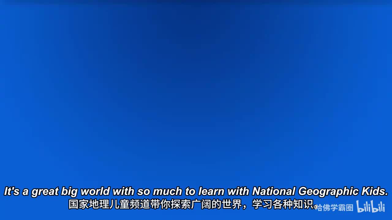 Nat Geo Kids Penguins Playlist-01-All About Penguins 中英字幕