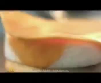 tvcimage.meihua.infompeg20100301113156_1250.mp4