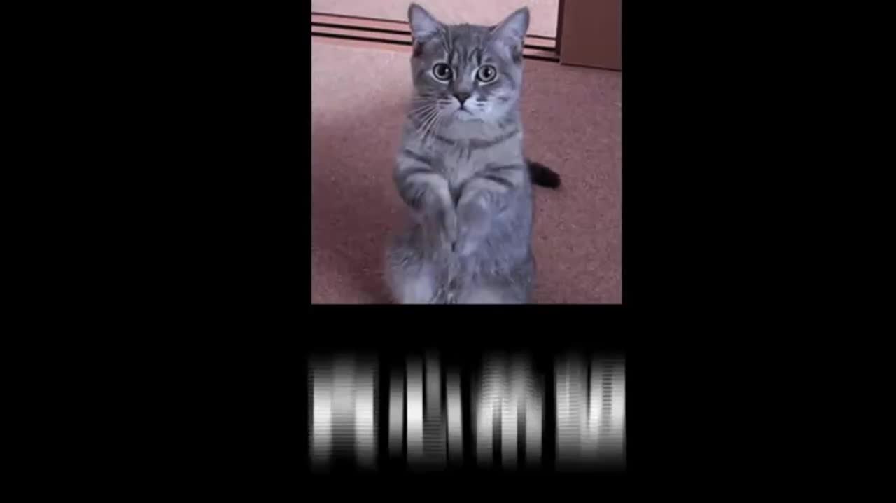 多模态大模型串讲P1