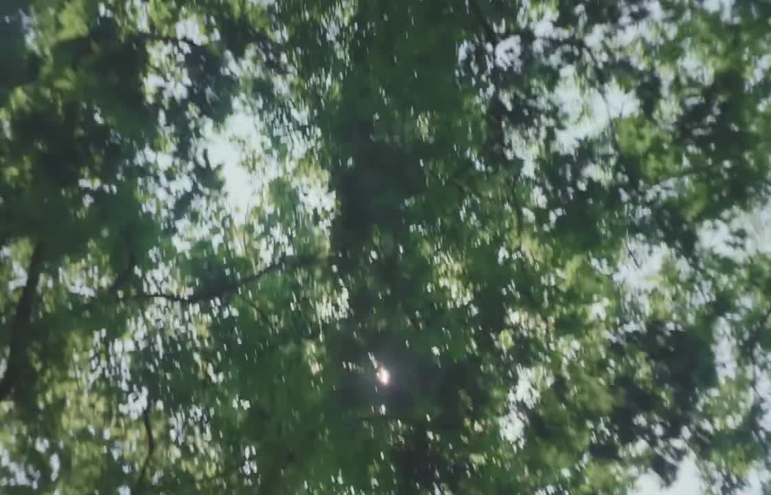MAMAMOO 《4 Flowers》MV预告