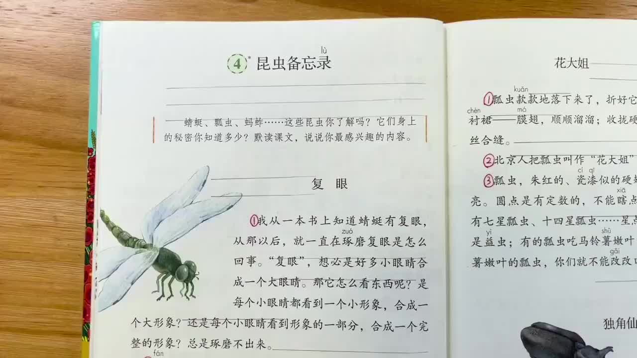 10.4-昆虫备忘录
