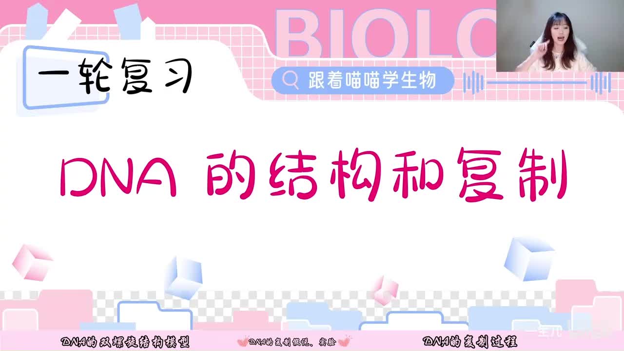 13-2 DNA的结构和复制