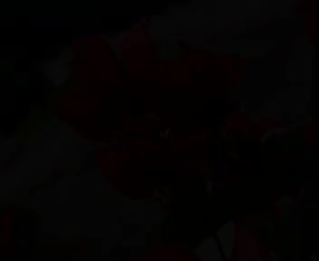 爱拼才会赢