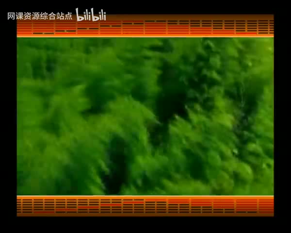 066_易经的智慧_（卦序25）_无妄卦（下）避祸成事