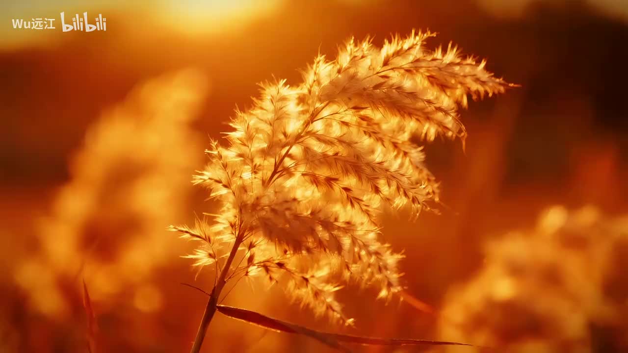 方辰《那么爱你也没用》