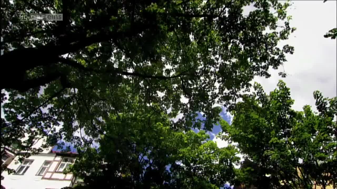 Türkisch für Anfänger (Season 2 Episode 13) Watch German TV series (German Subti