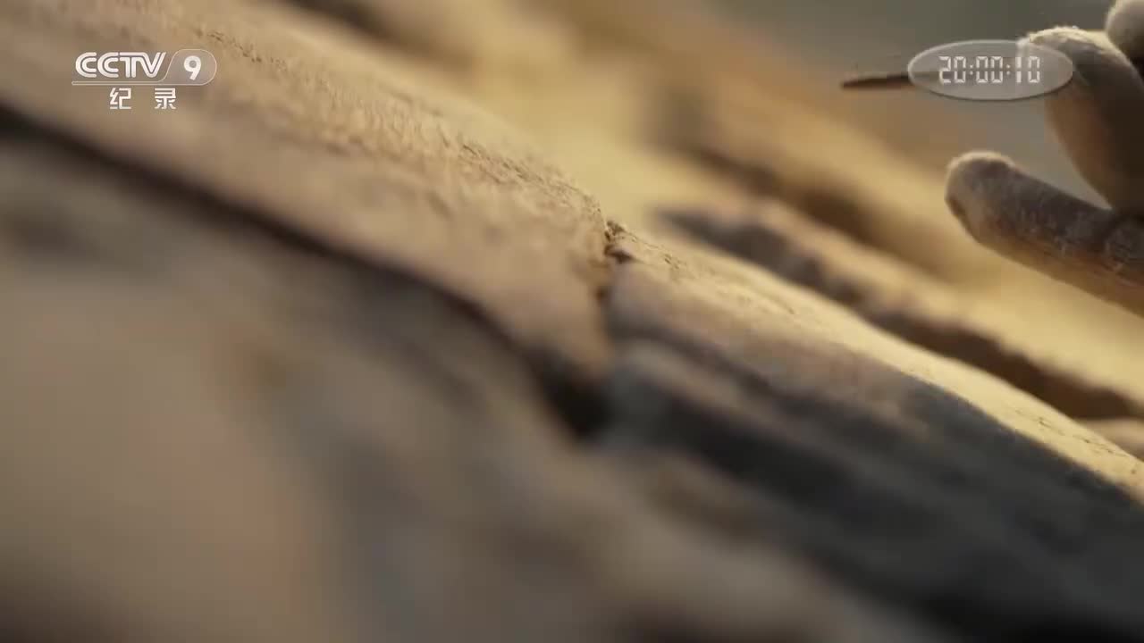 【第三集】运河中心时代