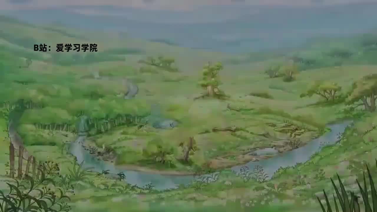 010 The Lucky Egg 幸运蛋