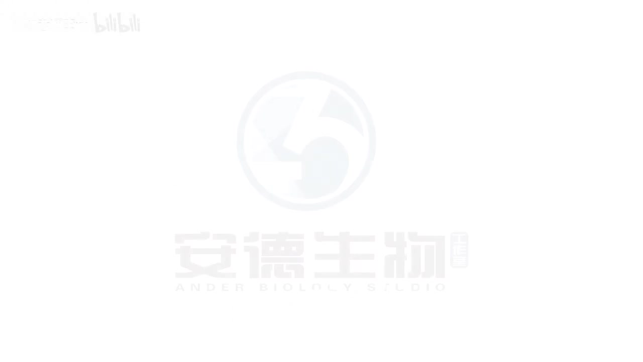 23.DNA的结构与复制