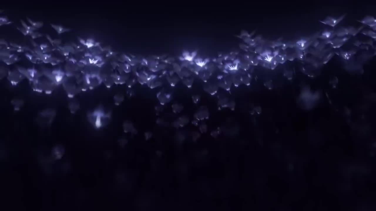 第三十八集 赞妮