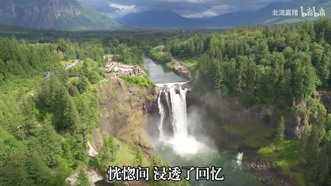 67.椿 - 沈以诚