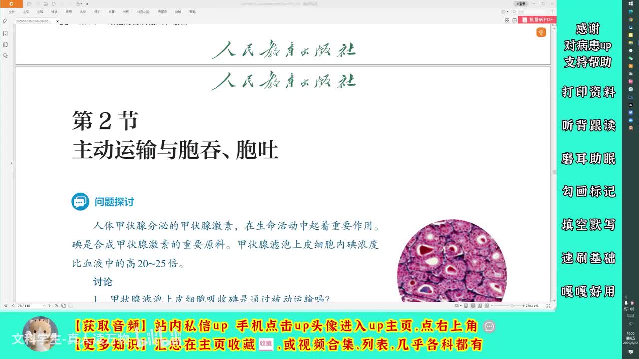 4.2主动运输与胞吞、胞吐