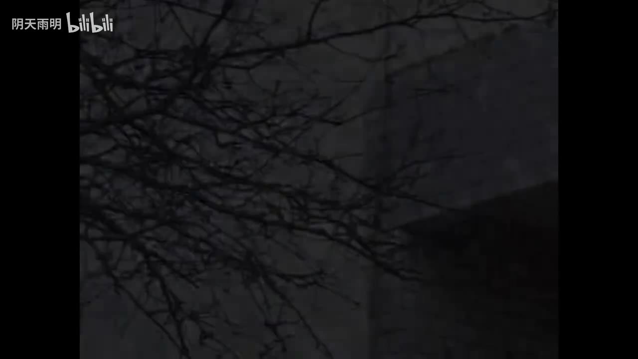 民间小调《小姨子跳楼》01 荆献顺 张影 刘素霞 薛小香 田明金 李发东 秦霞