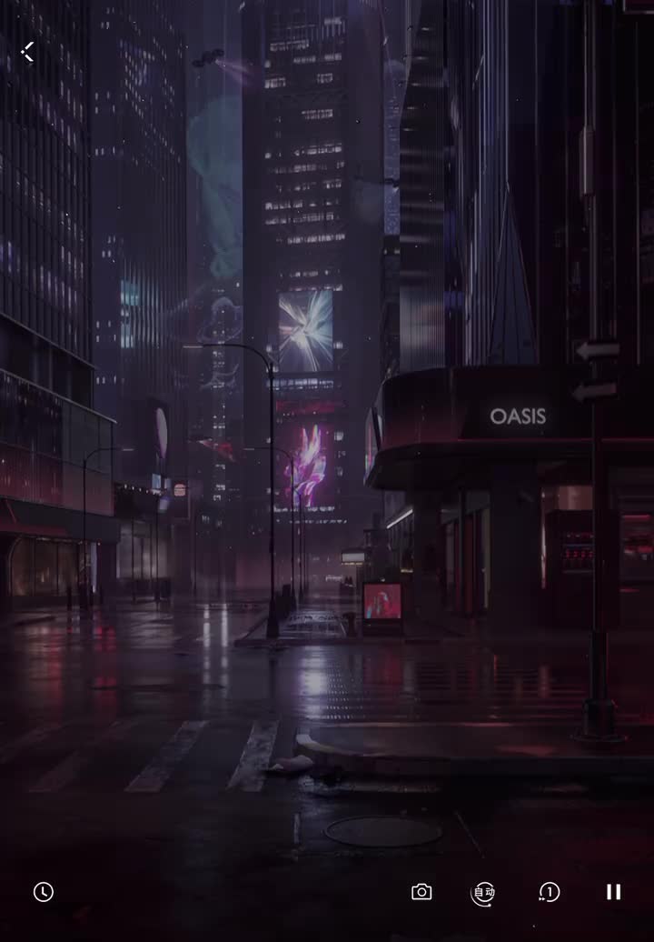 思念：爱猫及喵