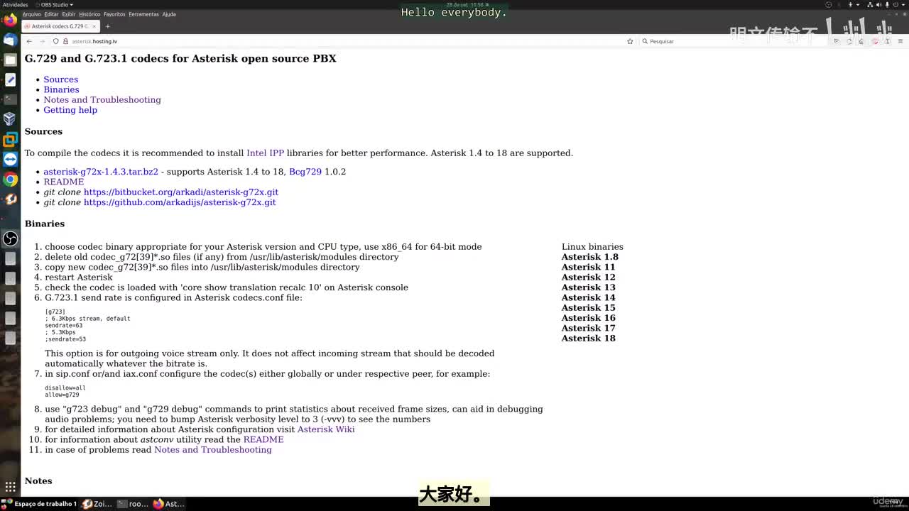 41_7 - 安装g.729编解码器_明文传输不