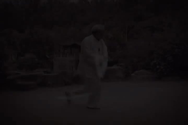 杨式太极拳85式教学2
