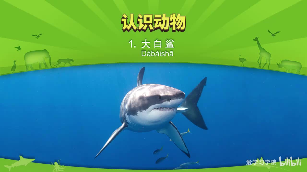 第2级7、《认识动物》《Meet the Animals》