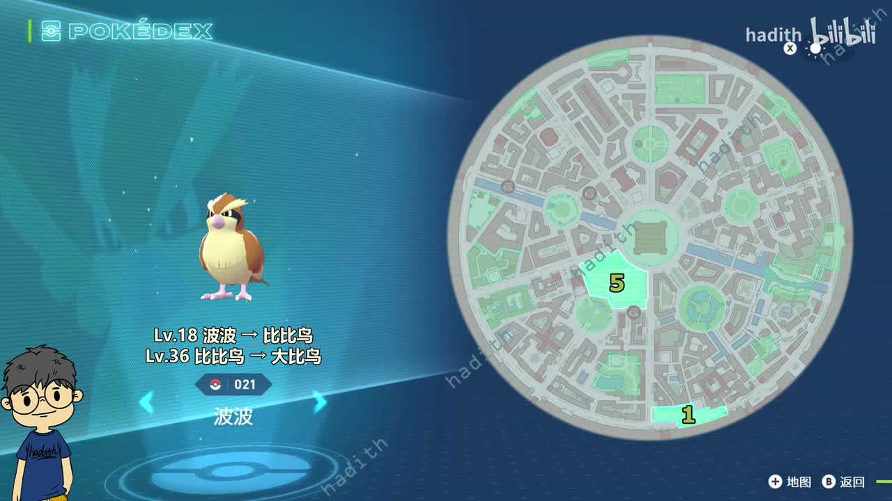 021-023 波波、比比鸟、大比鸟