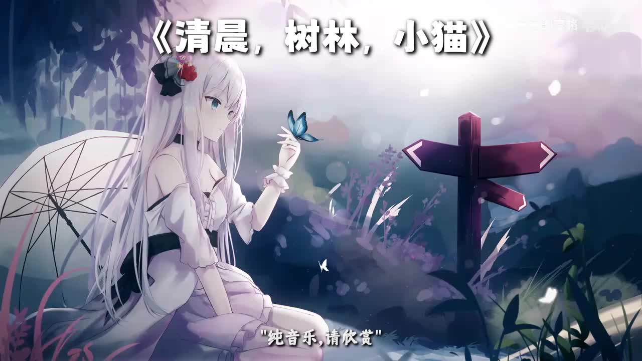 34.清晨，树林，小猫