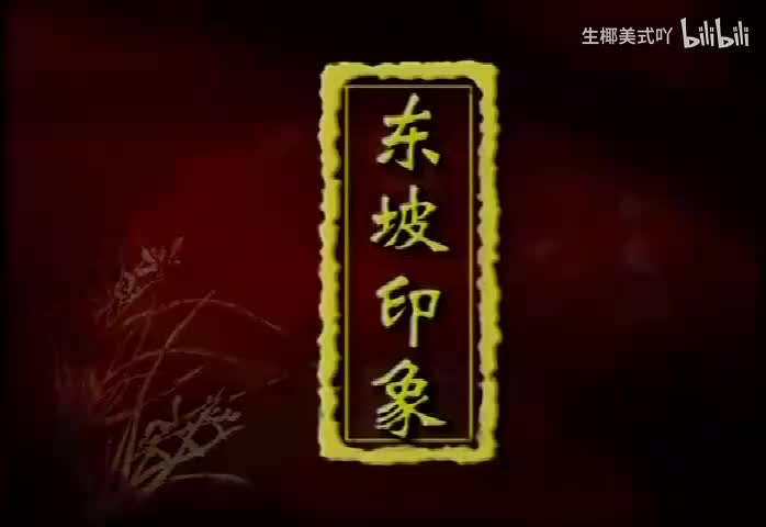 9东坡印象
