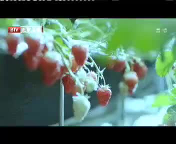 172796_11FB