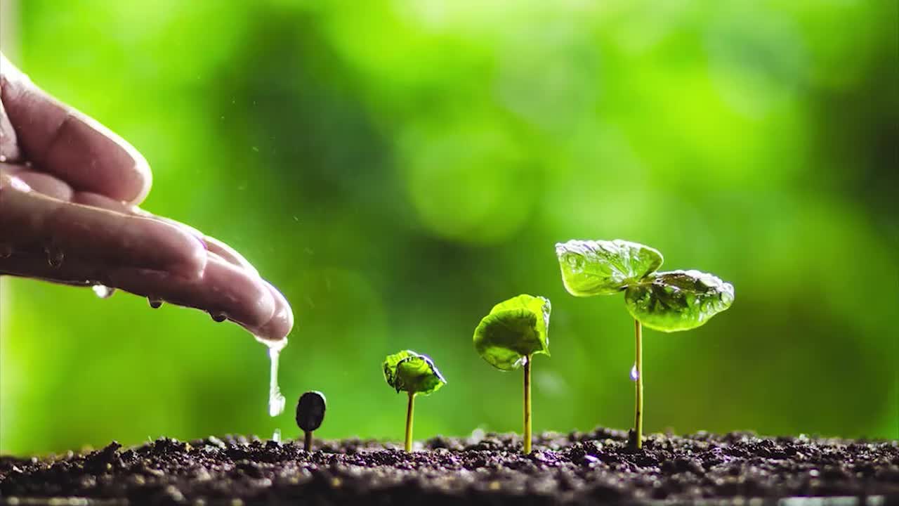 24 细语润心田：尊重科学，有效学习