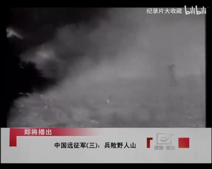 中国远征军.第三集.兵败野人山