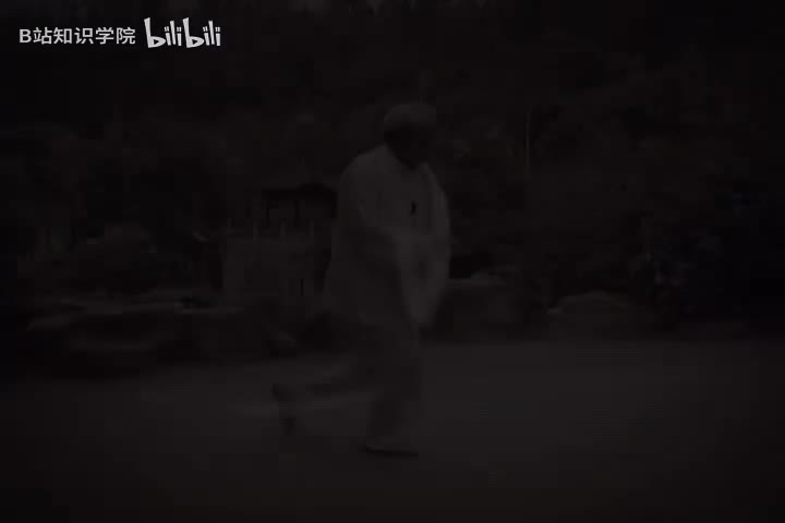 杨式太极拳85式教学2